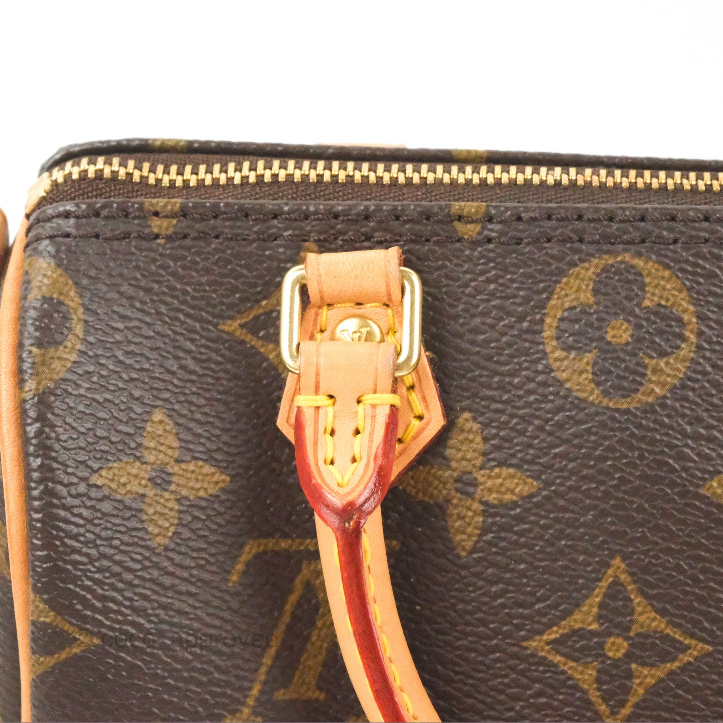 Louis Vuitton Nano Speedy Monogram