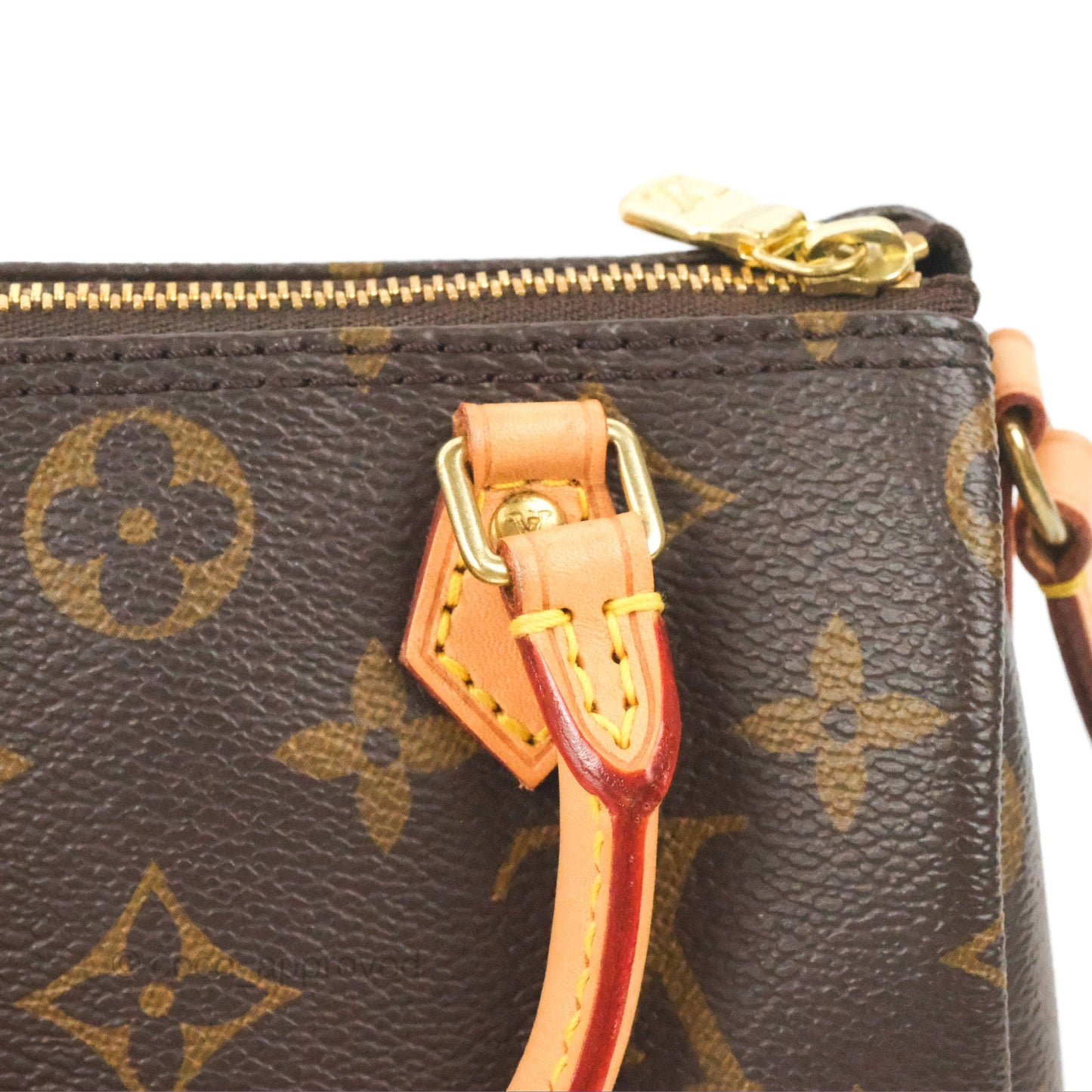 Louis Vuitton Nano Speedy Monogram