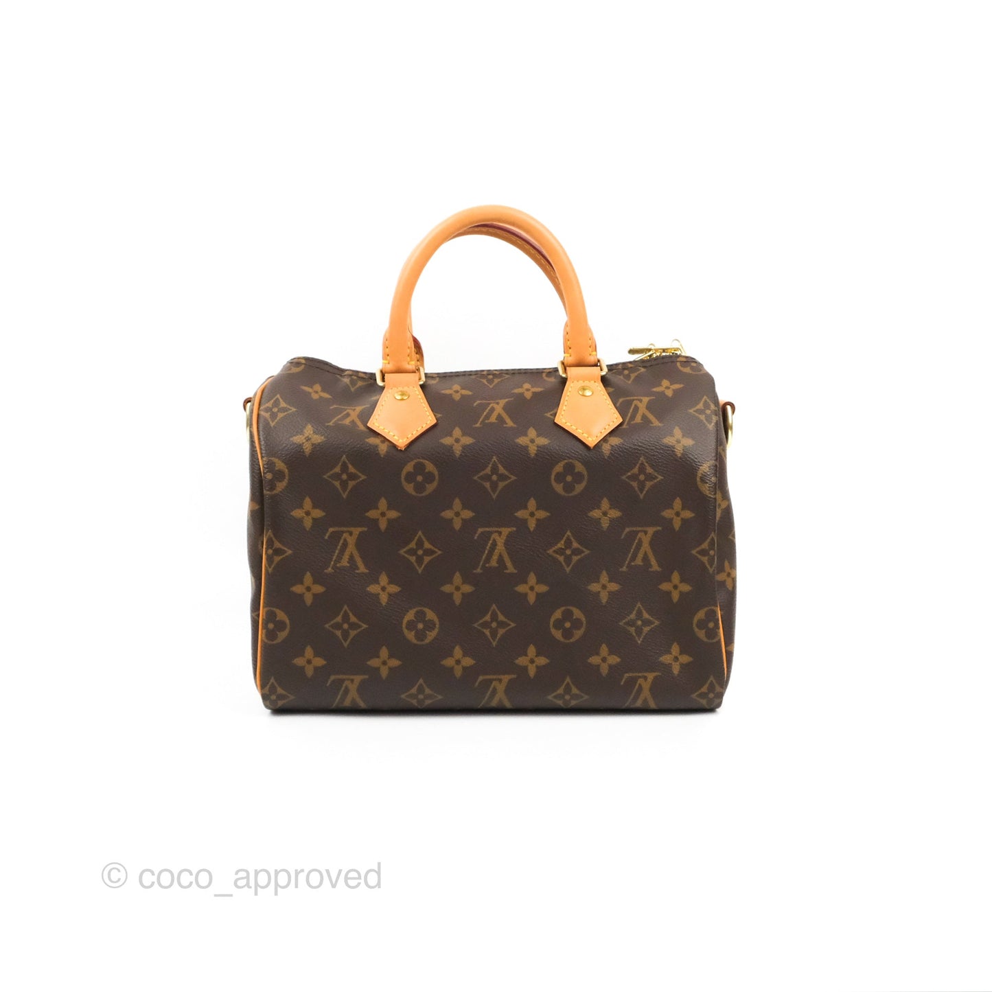 Louis Vuitton Speedy 25 Monogram Canvas