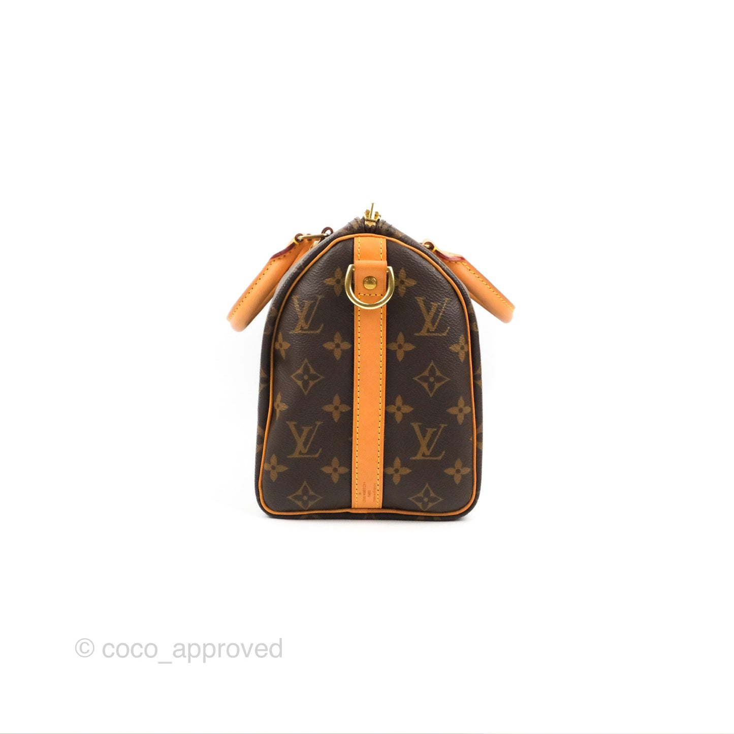 Louis Vuitton Speedy 25 Monogram Canvas
