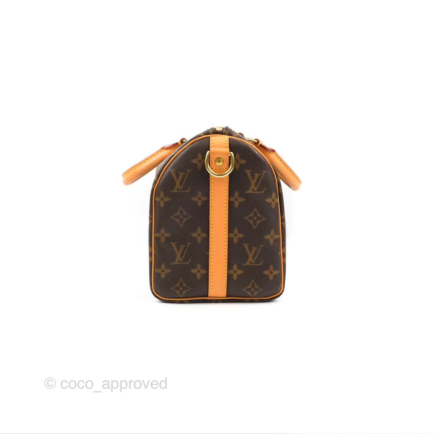 Louis Vuitton Speedy 25 Monogram Canvas