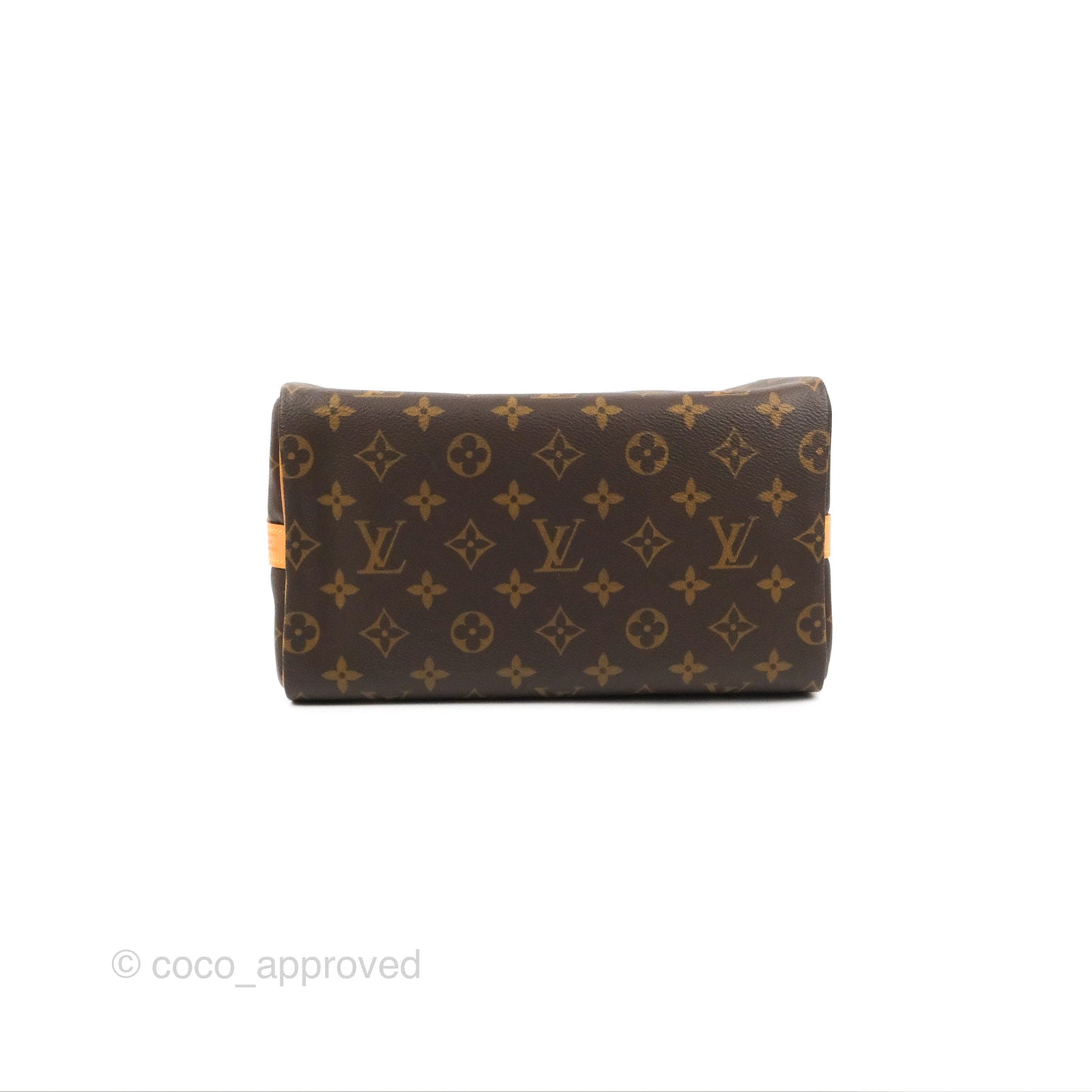 Louis Vuitton Speedy 25 Monogram Canvas