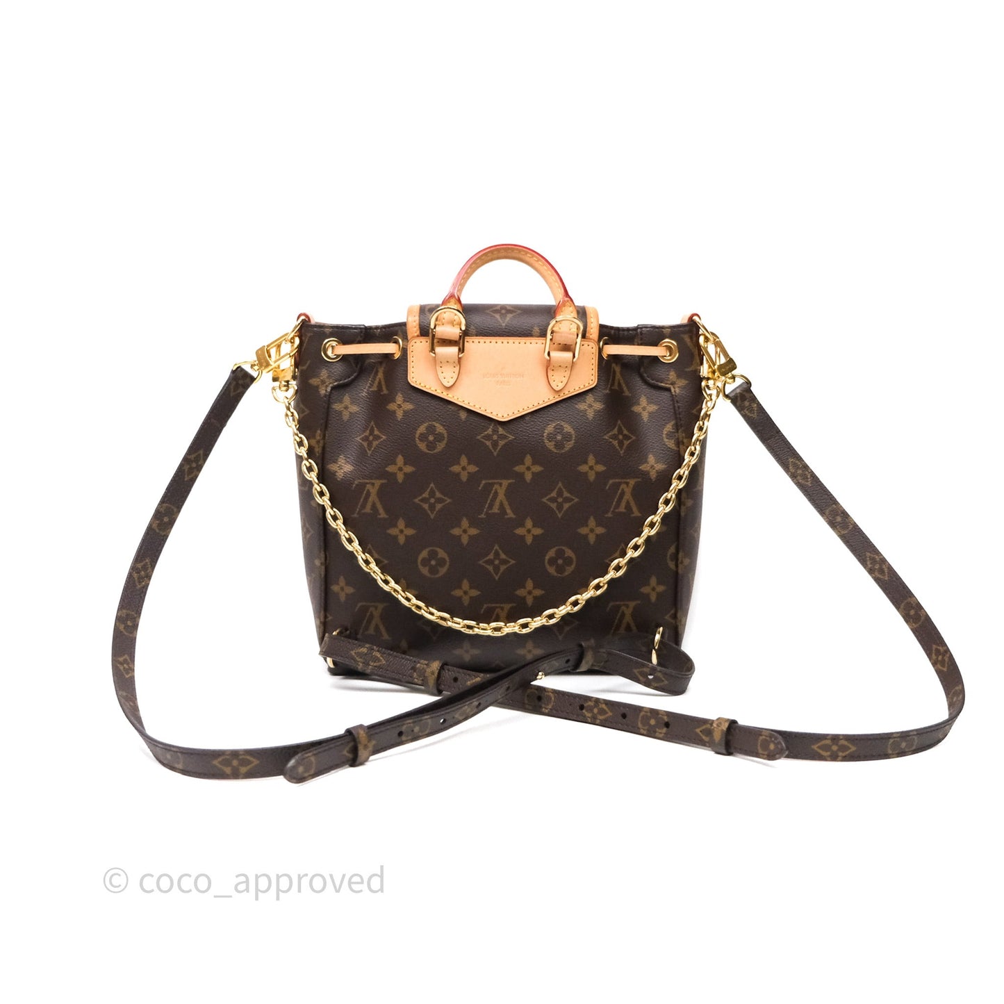 Louis Vuitton Excursion PM Monogram Backpack