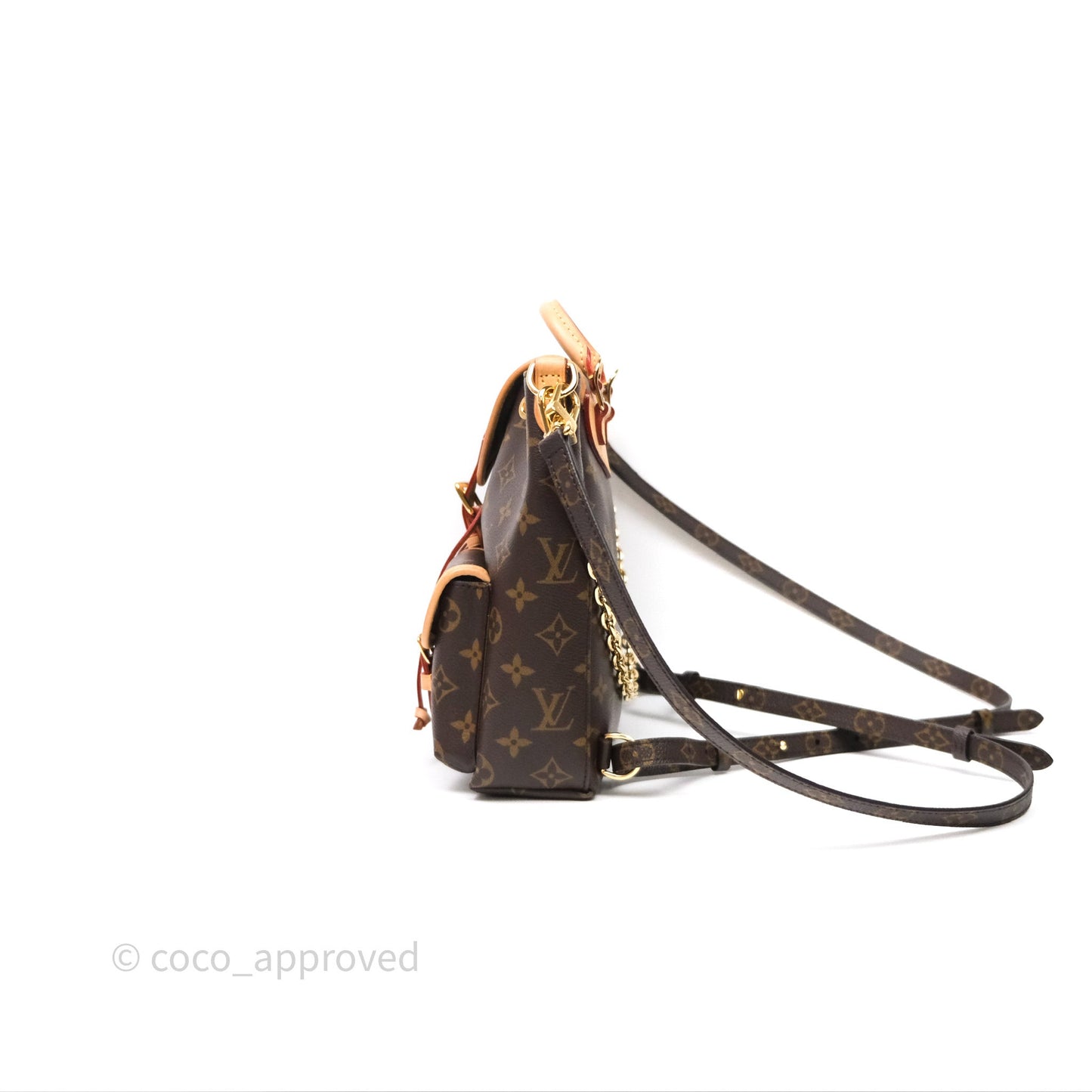 Louis Vuitton Excursion PM Monogram Backpack