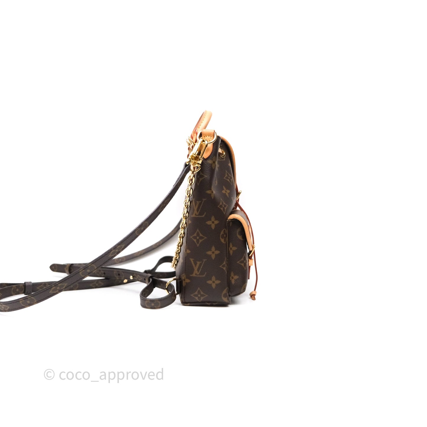 Louis Vuitton Excursion PM Monogram Backpack