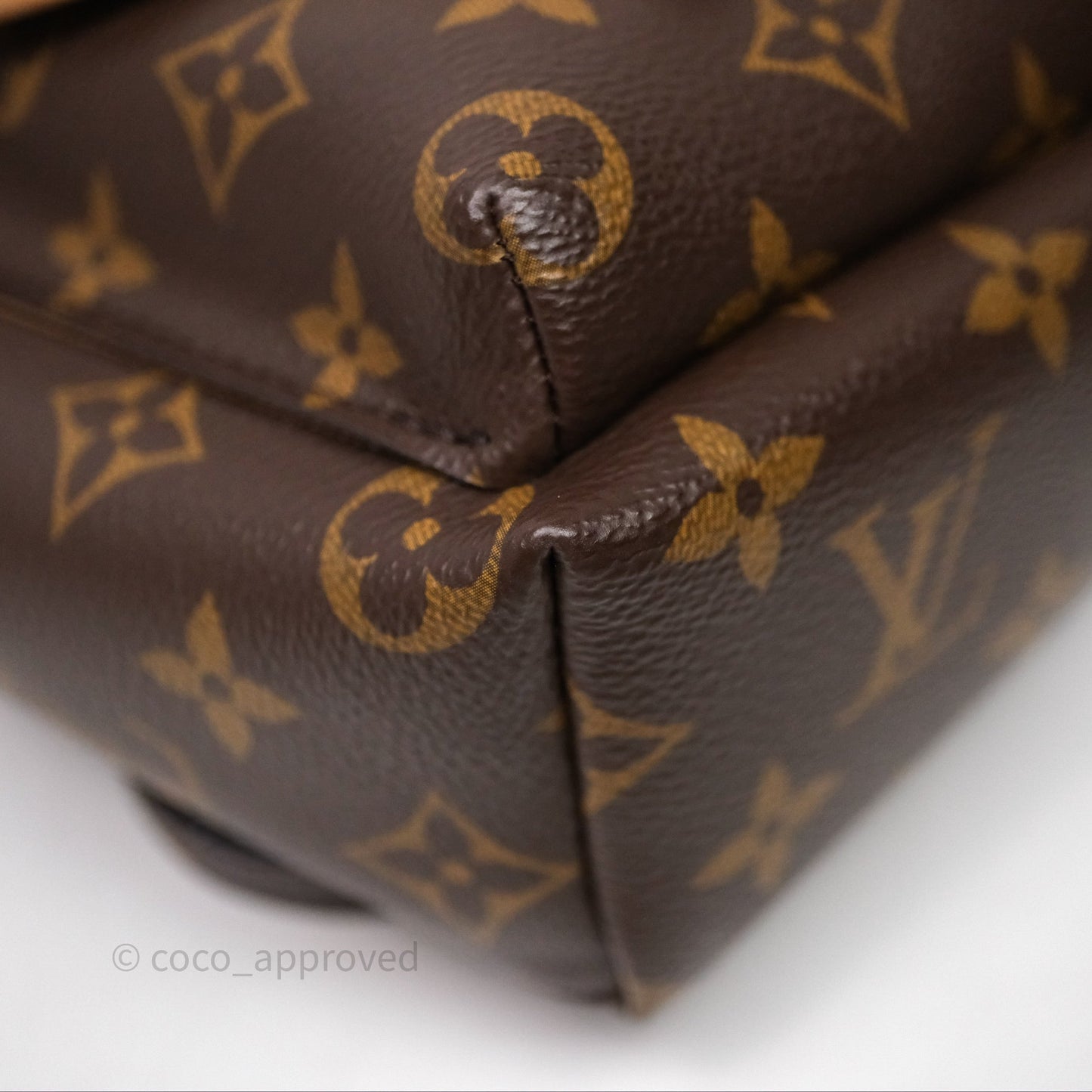 Louis Vuitton Excursion PM Monogram Backpack