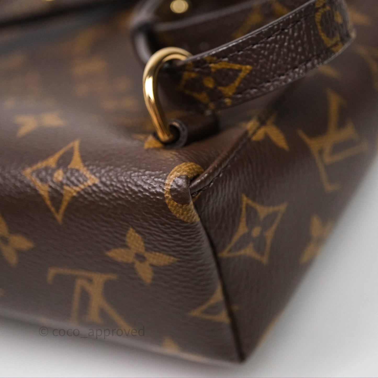 Louis Vuitton Excursion PM Monogram Backpack