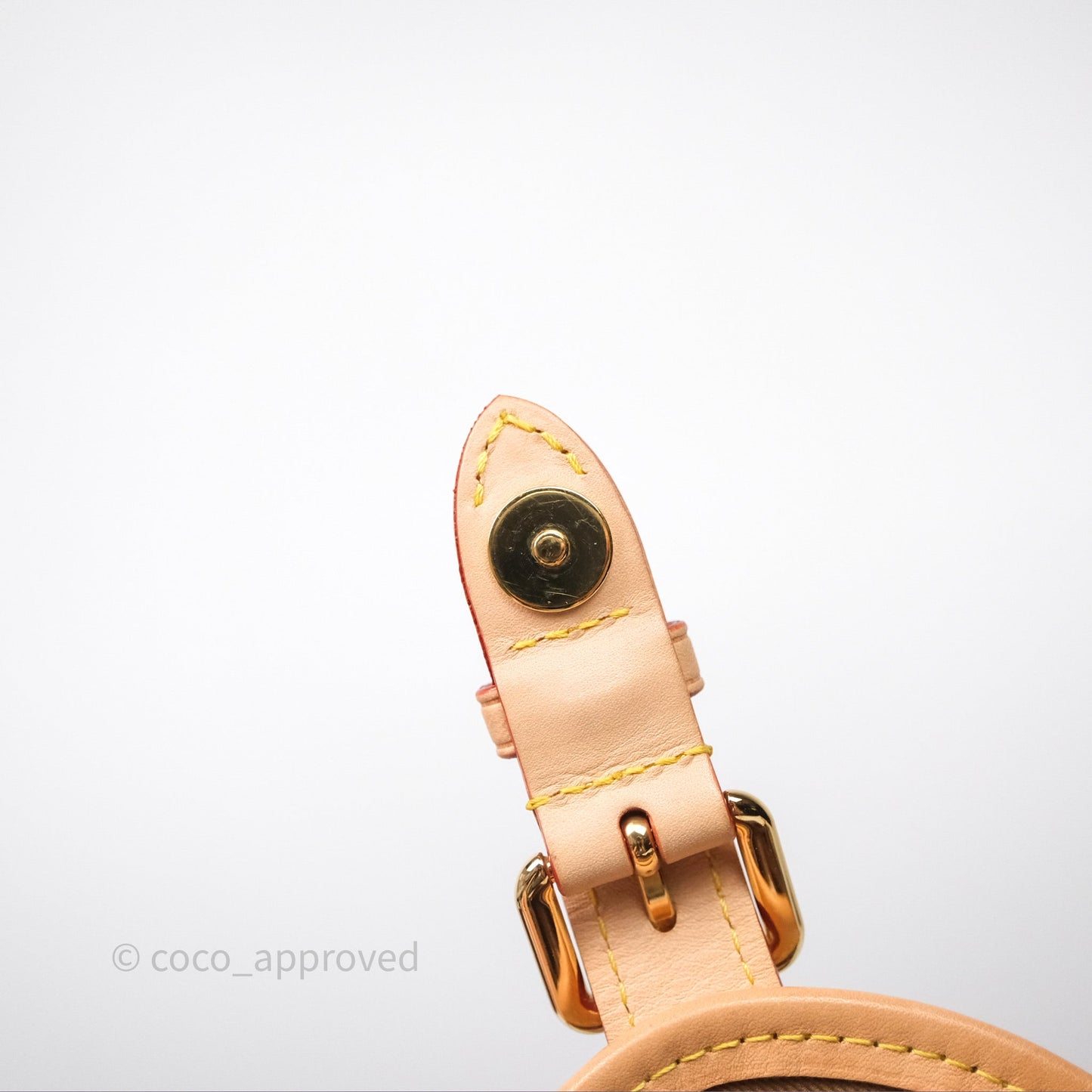 Louis Vuitton Excursion PM Monogram Backpack