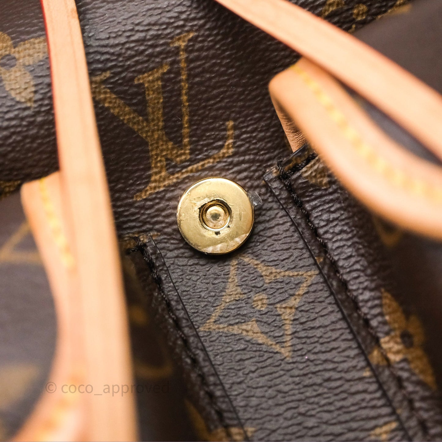 Louis Vuitton Excursion PM Monogram Backpack