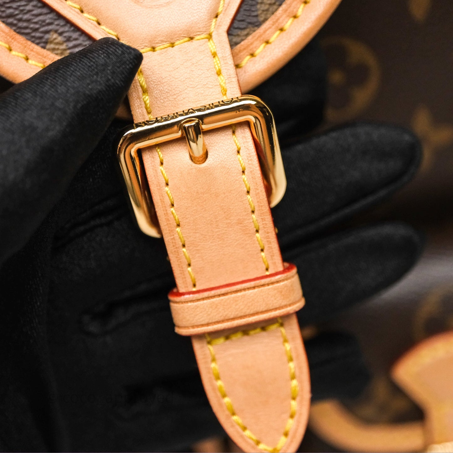 Louis Vuitton Excursion PM Monogram Backpack