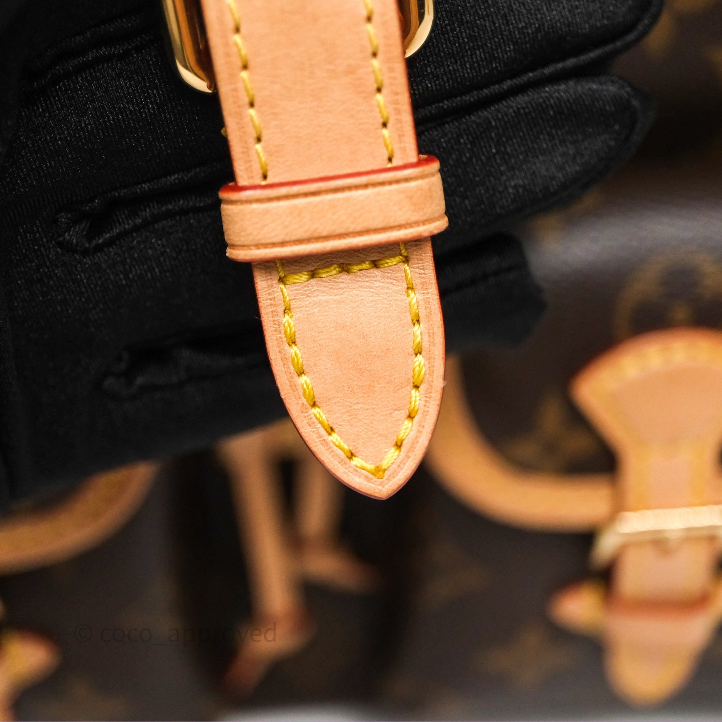 Louis Vuitton Excursion PM Monogram Backpack
