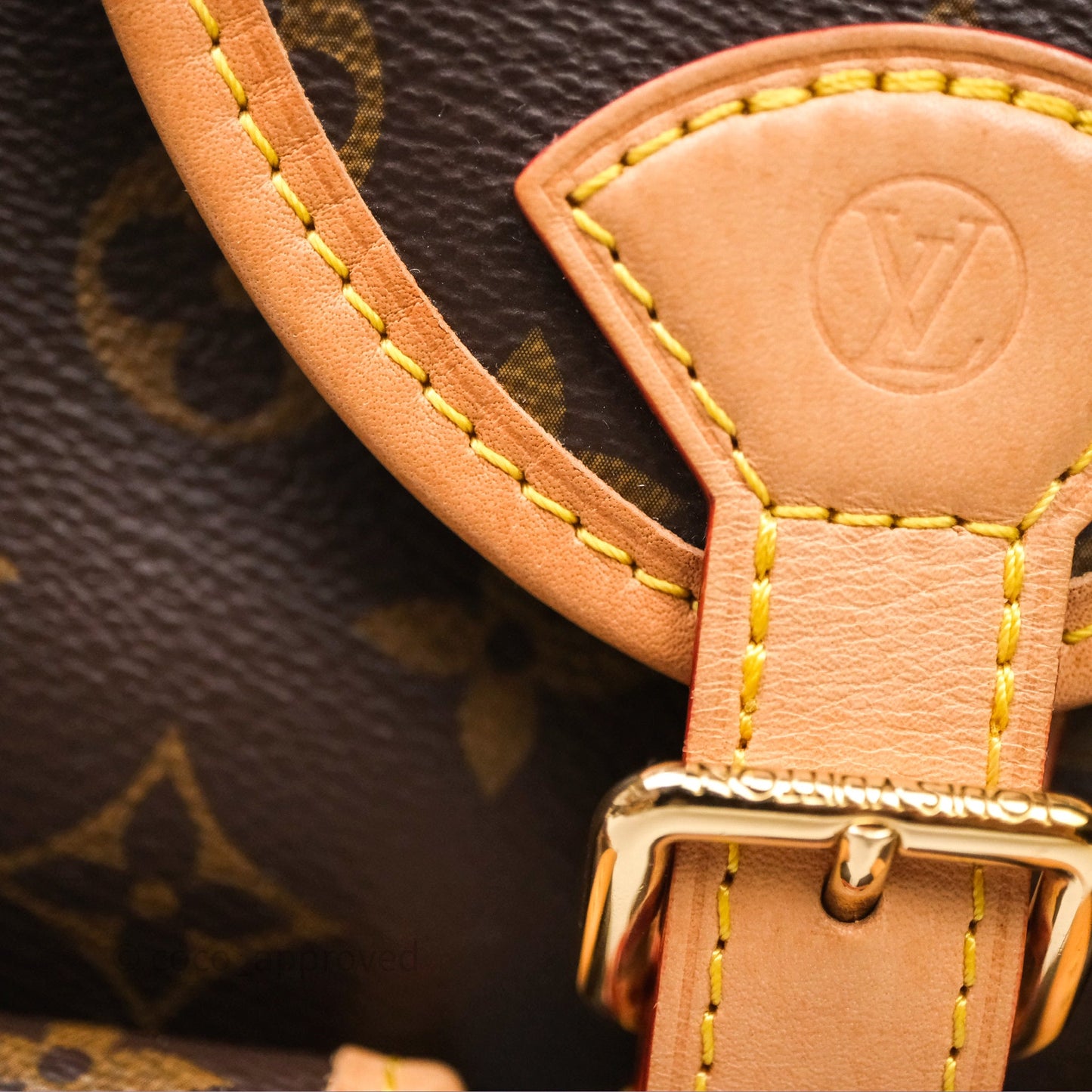 Louis Vuitton Excursion PM Monogram Backpack