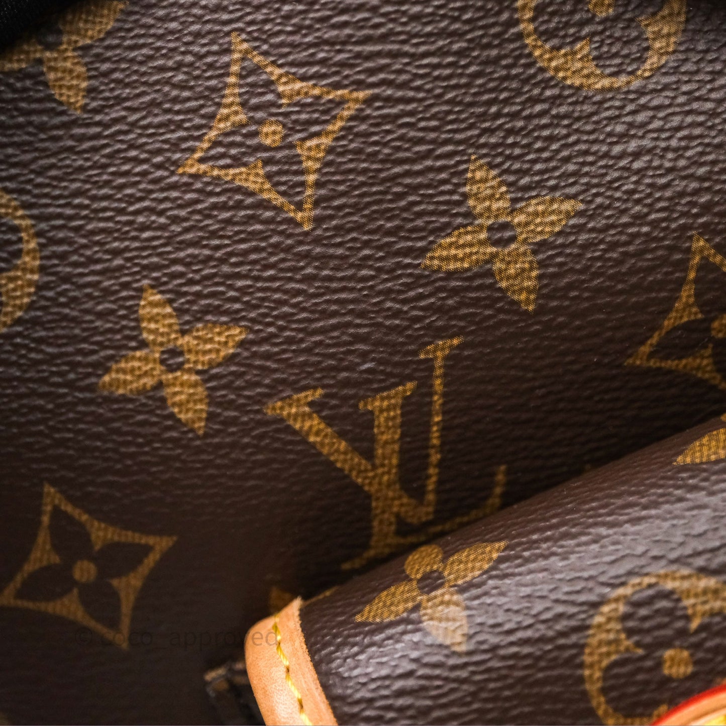 Louis Vuitton Excursion PM Monogram Backpack