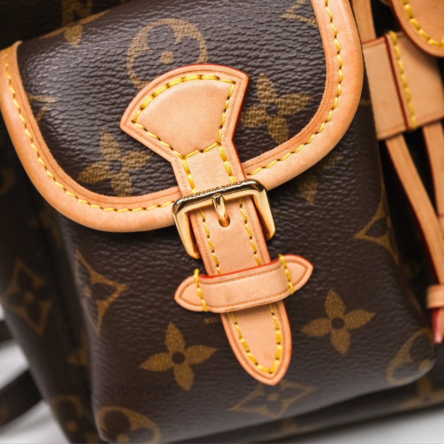 Louis Vuitton Excursion PM Monogram Backpack