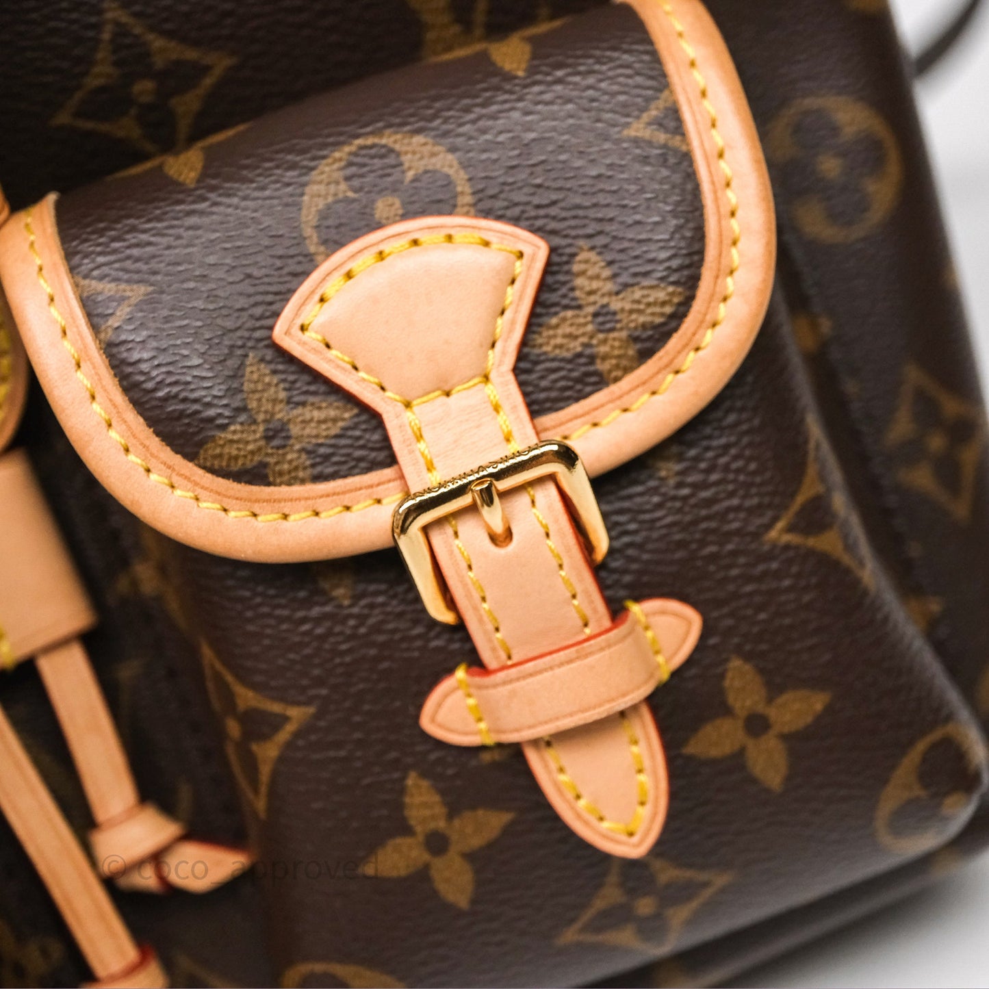 Louis Vuitton Excursion PM Monogram Backpack