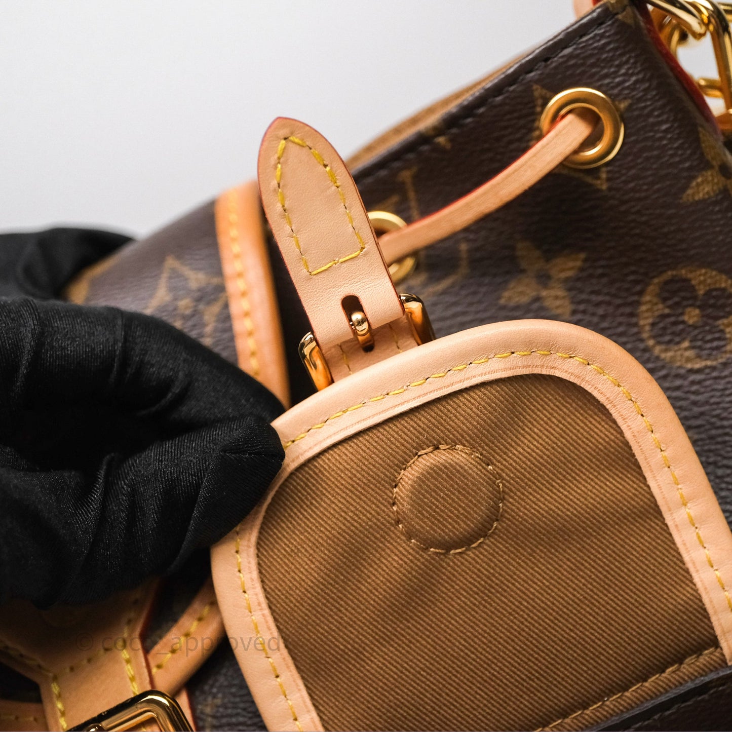 Louis Vuitton Excursion PM Monogram Backpack