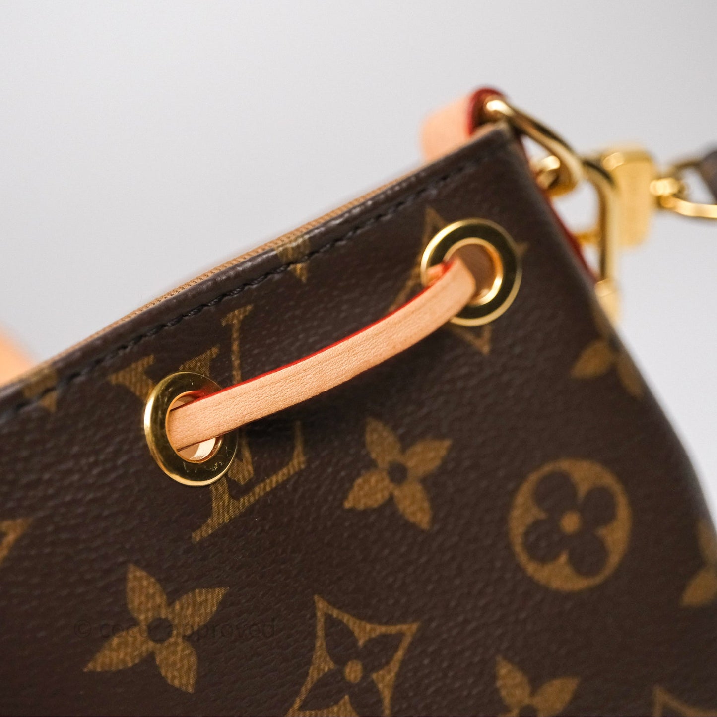 Louis Vuitton Excursion PM Monogram Backpack