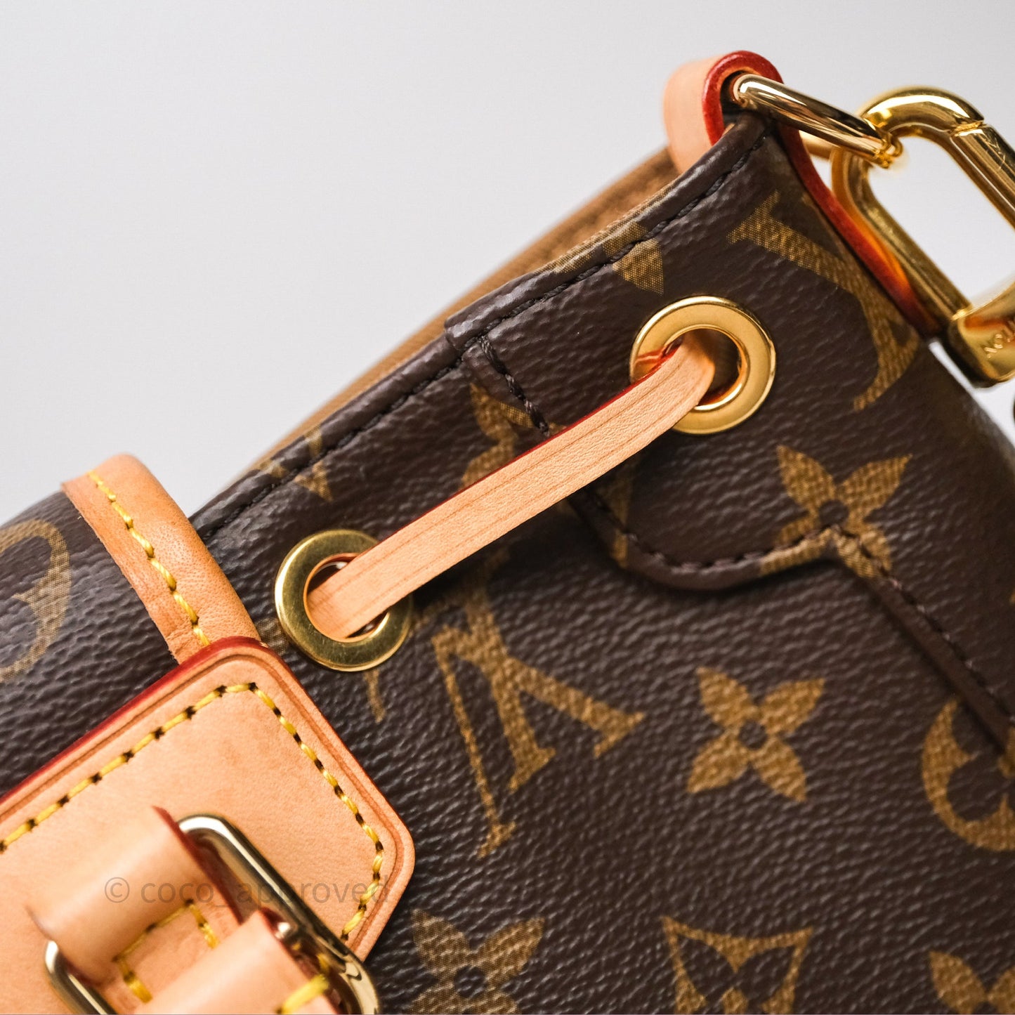 Louis Vuitton Excursion PM Monogram Backpack
