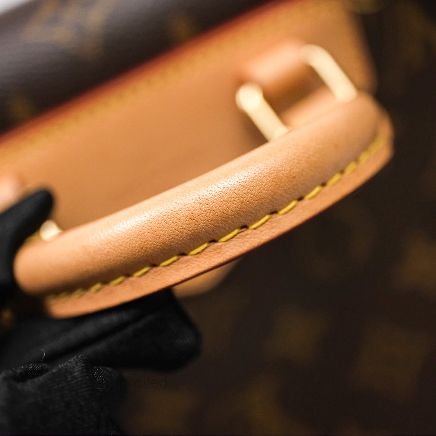 Louis Vuitton Excursion PM Monogram Backpack