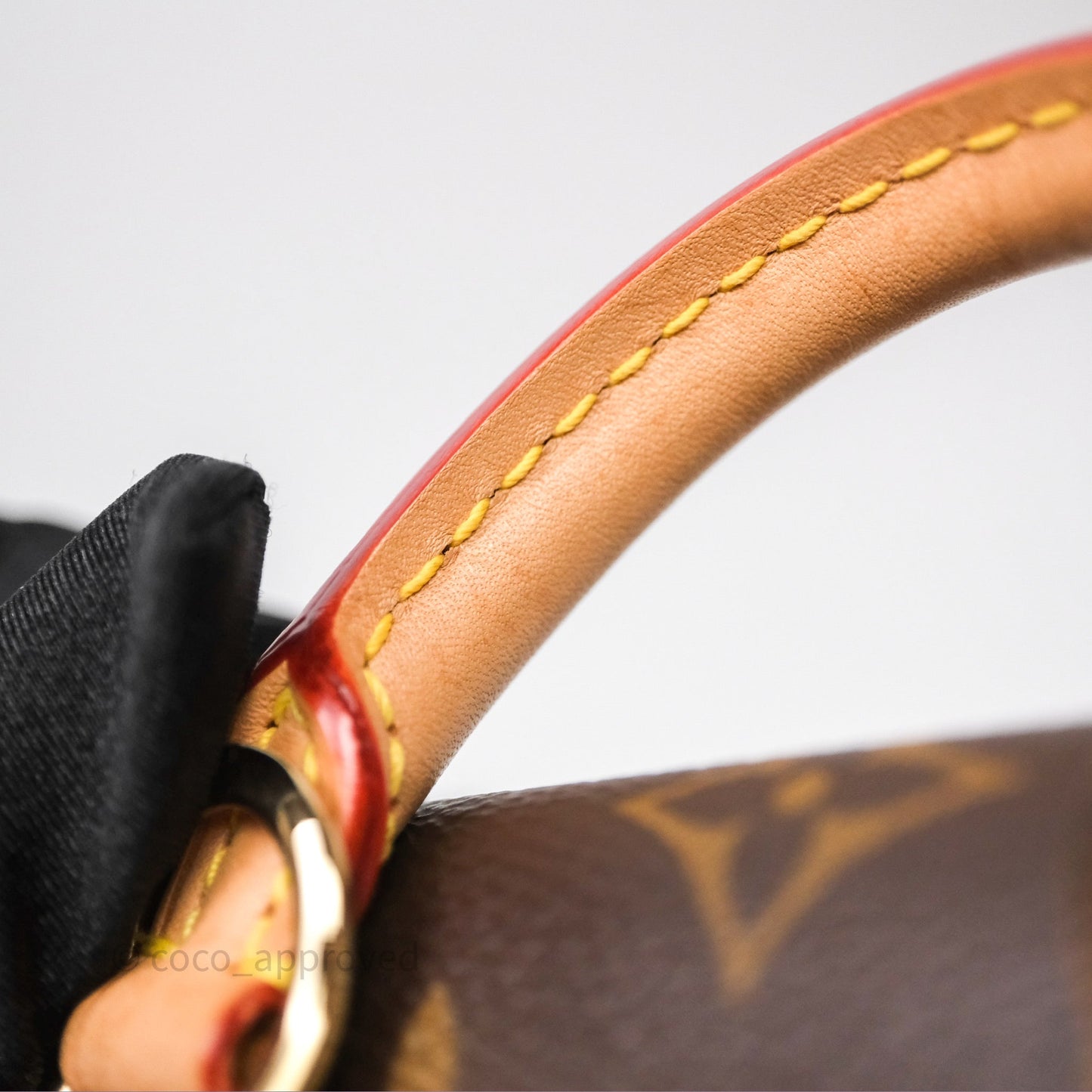Louis Vuitton Excursion PM Monogram Backpack