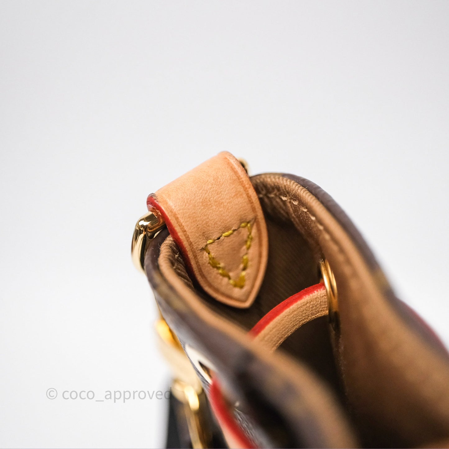 Louis Vuitton Excursion PM Monogram Backpack