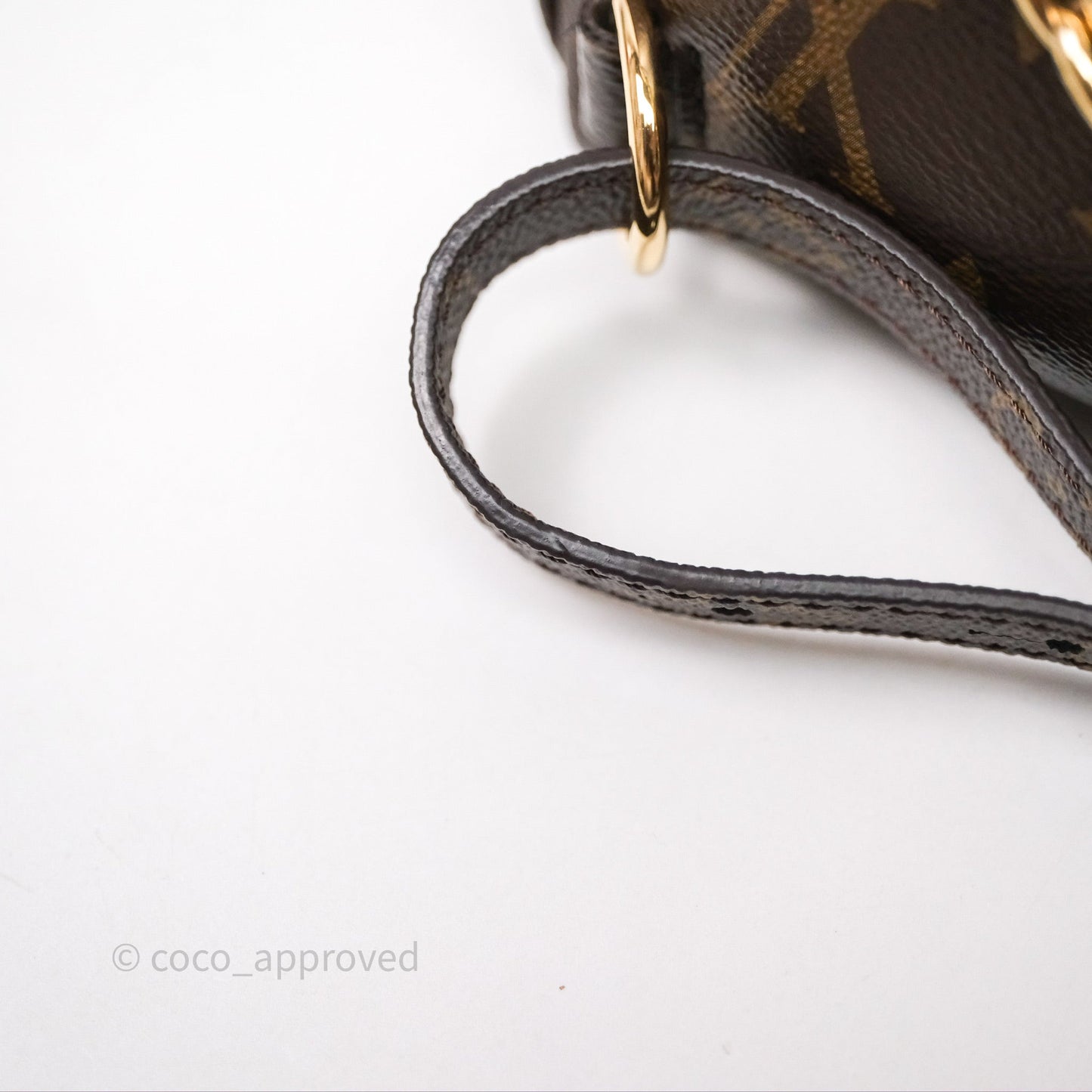 Louis Vuitton Excursion PM Monogram Backpack