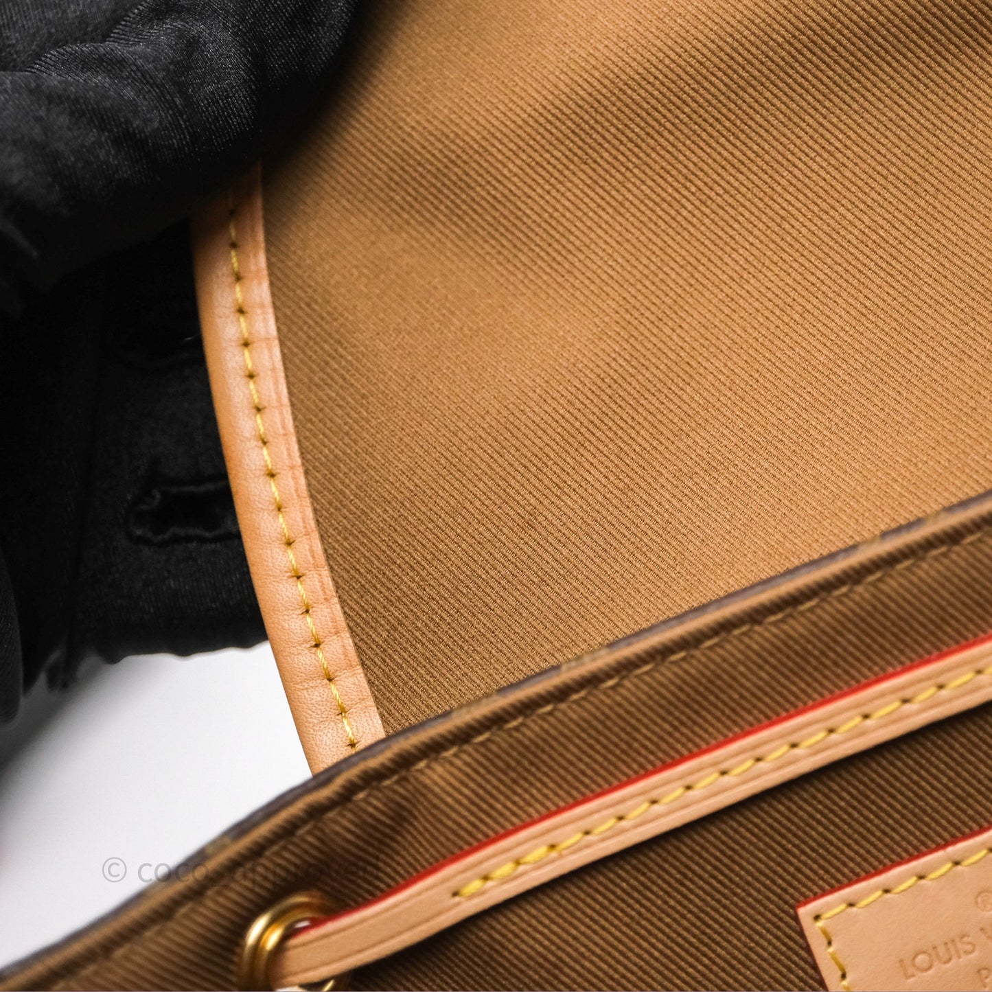 Louis Vuitton Excursion PM Monogram Backpack