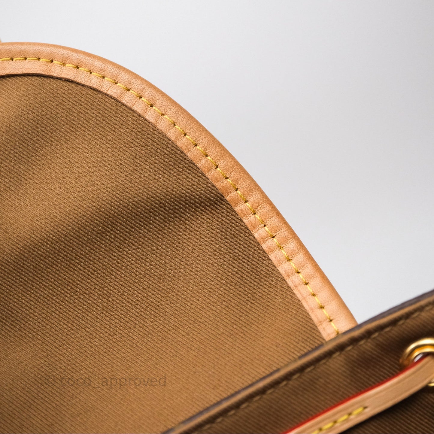 Louis Vuitton Excursion PM Monogram Backpack