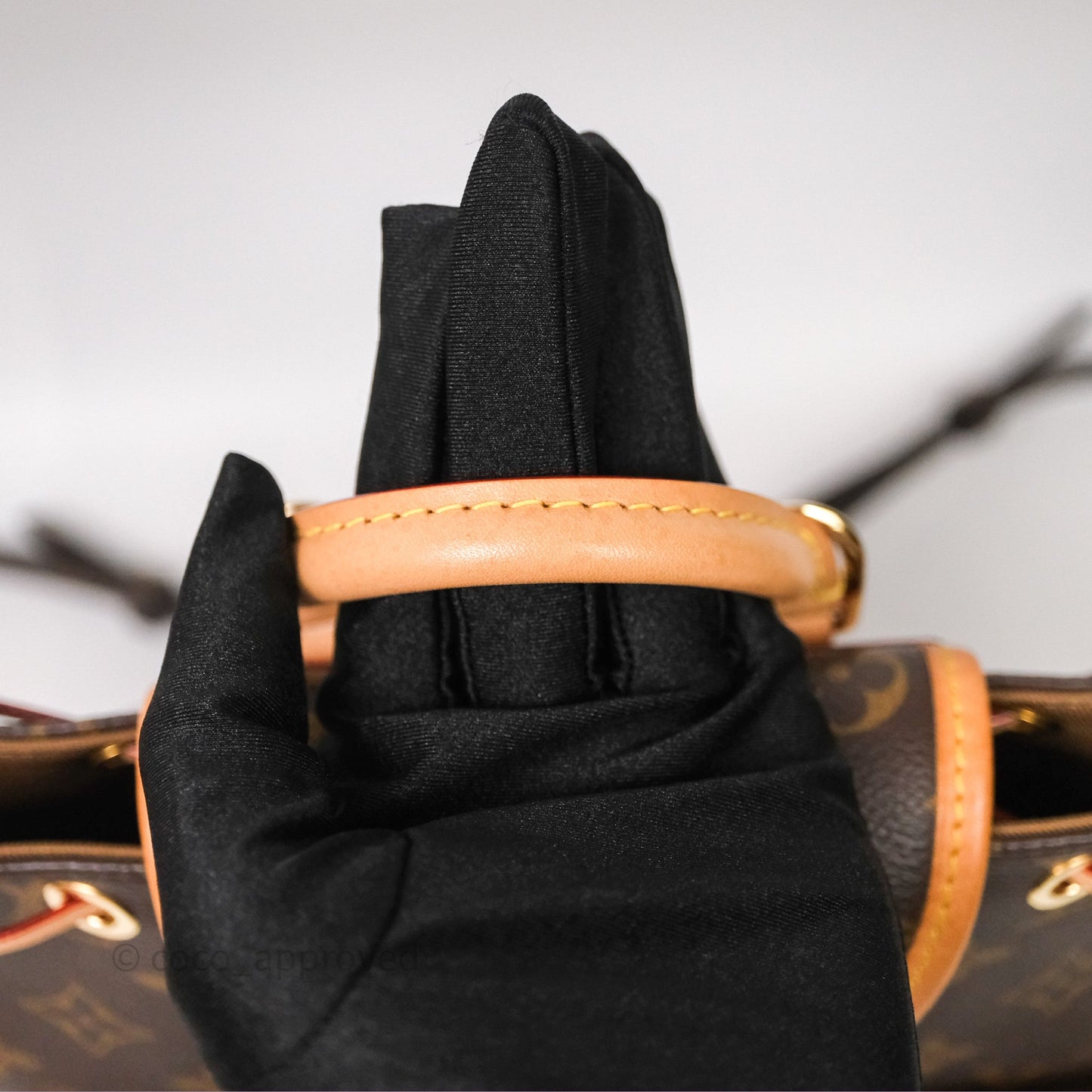 Louis Vuitton Excursion PM Monogram Backpack