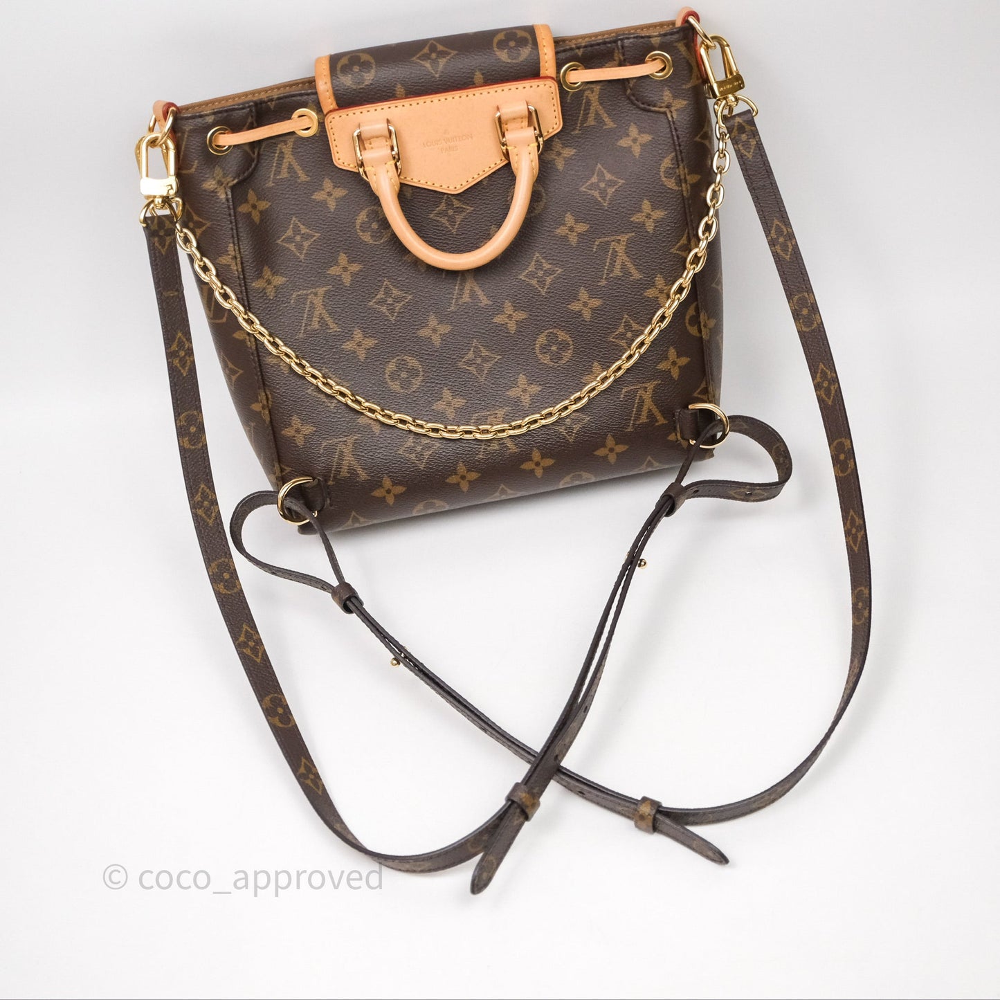 Louis Vuitton Excursion PM Monogram Backpack
