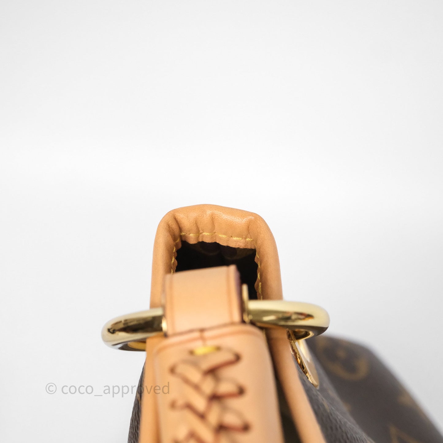 Louis Vuitton Artsy Monogram MM