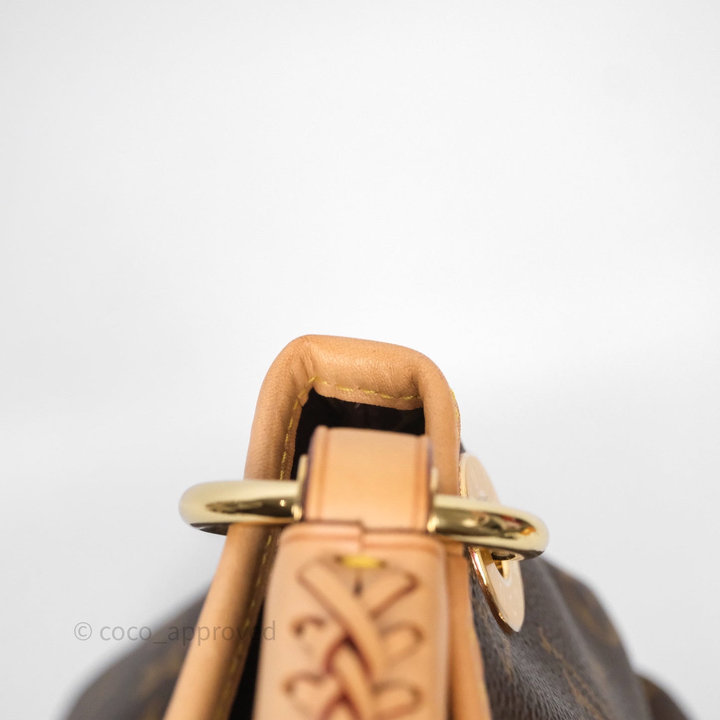 Louis Vuitton Artsy Monogram MM
