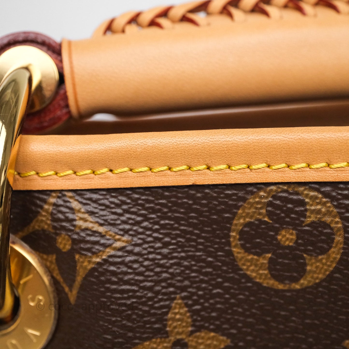 Louis Vuitton Artsy Monogram MM