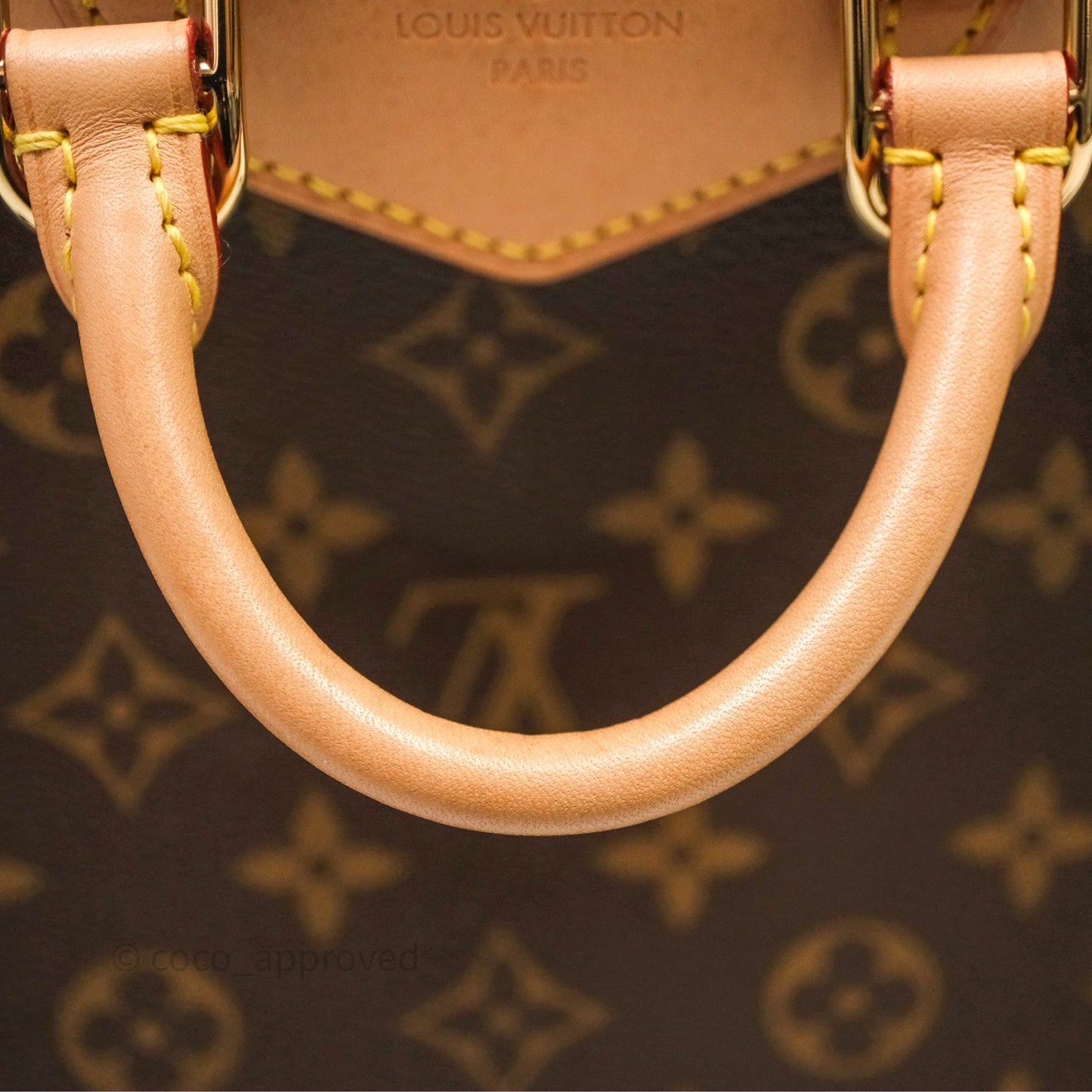 Louis Vuitton Excursion PM Monogram Backpack