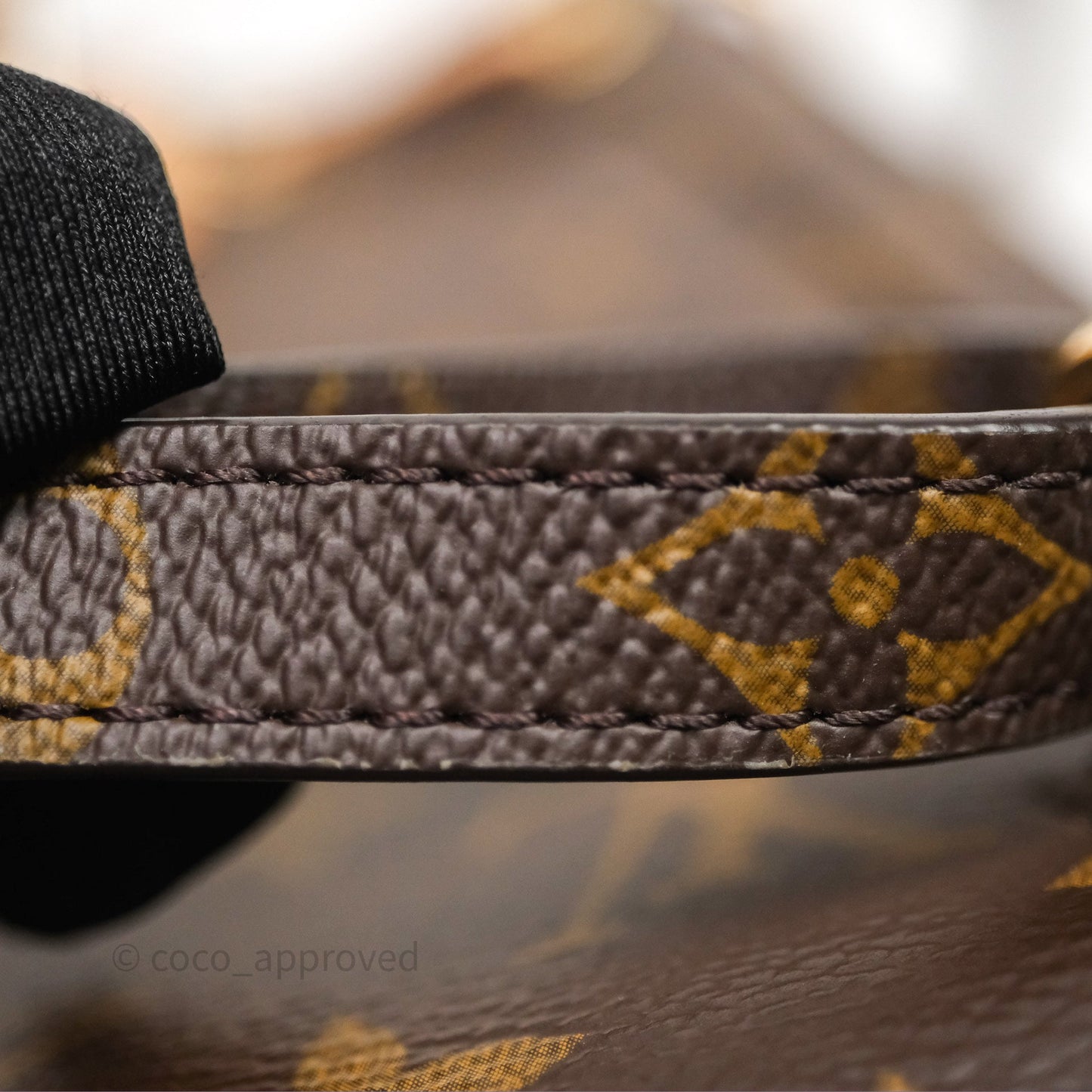 Louis Vuitton Excursion PM Monogram Backpack