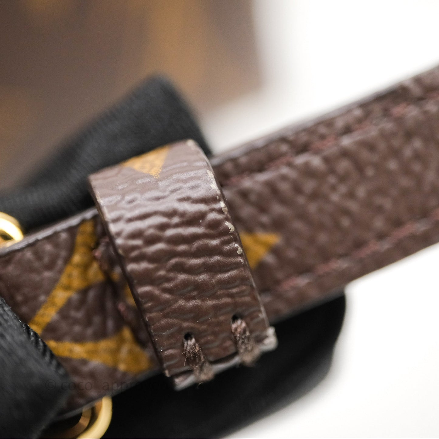 Louis Vuitton Excursion PM Monogram Backpack