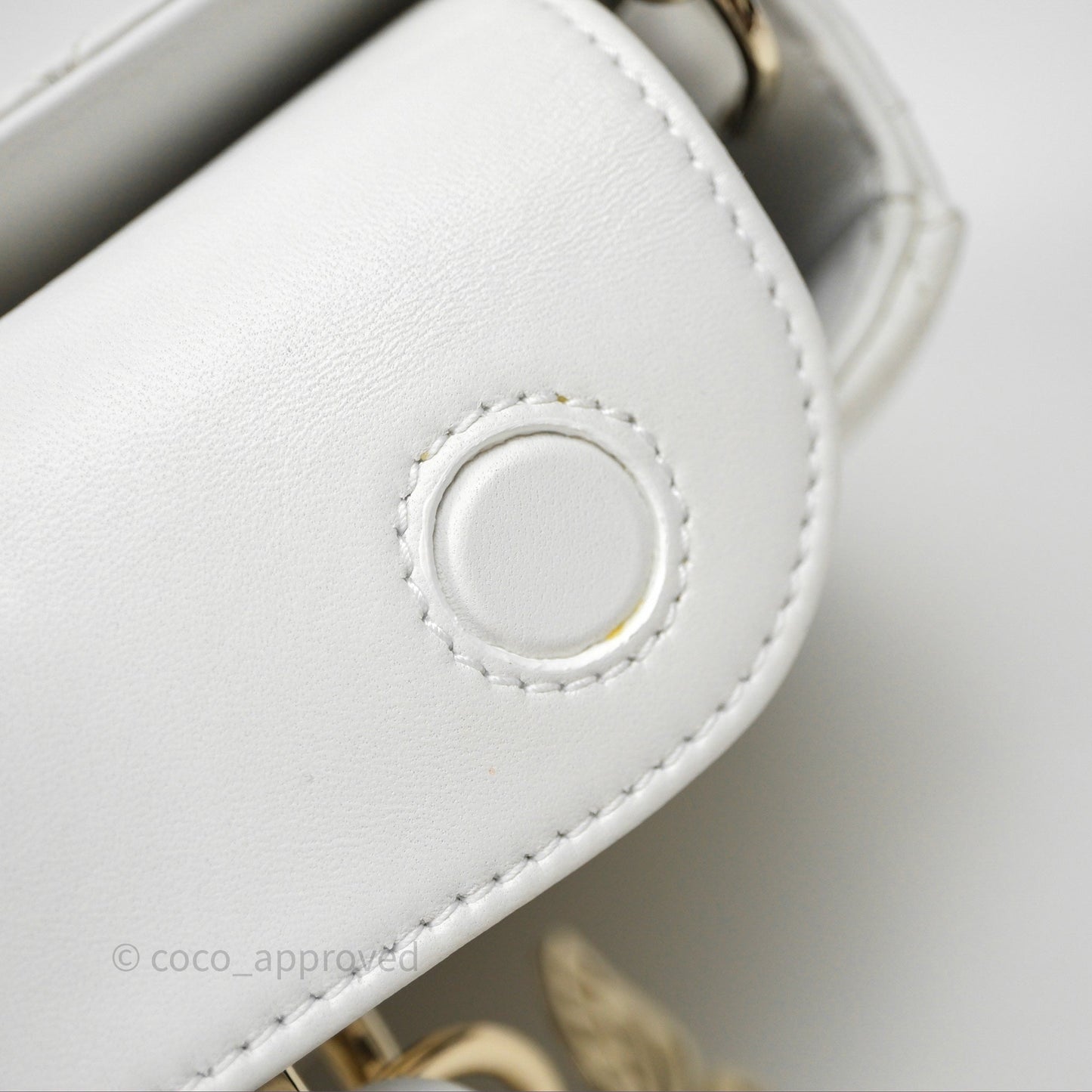 Christian Dior Medium Lady D-Joy Bag Butterfly White Lambskin Cannage Gold Hardware