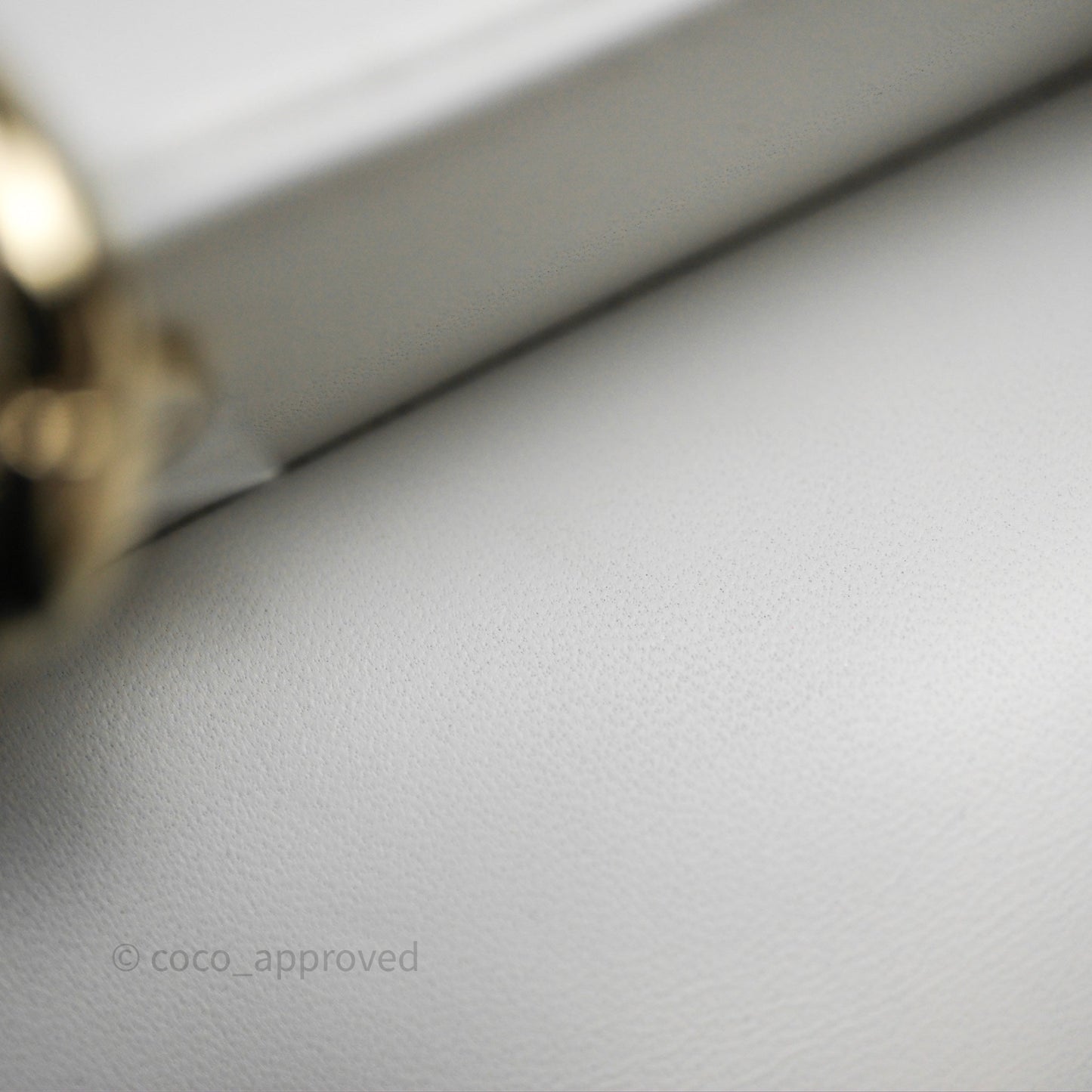 Christian Dior Medium Lady D-Joy Bag Butterfly White Lambskin Cannage Gold Hardware
