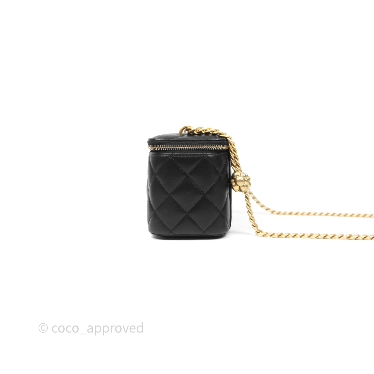Chanel Quilted Vanity Rectangular with Camellia Adjustable Chain Black Lambskin