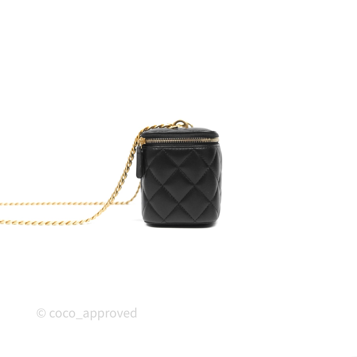 Chanel Quilted Vanity Rectangular with Camellia Adjustable Chain Black Lambskin