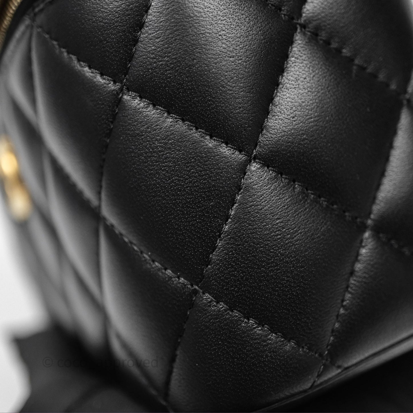 Chanel Quilted Vanity Rectangular with Camellia Adjustable Chain Black Lambskin