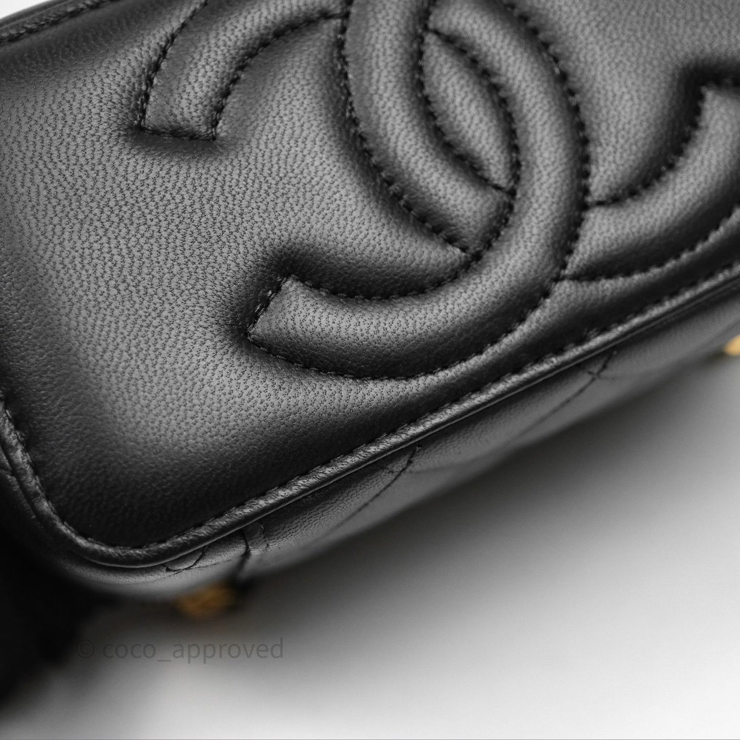 Chanel Quilted Vanity Rectangular with Camellia Adjustable Chain Black Lambskin
