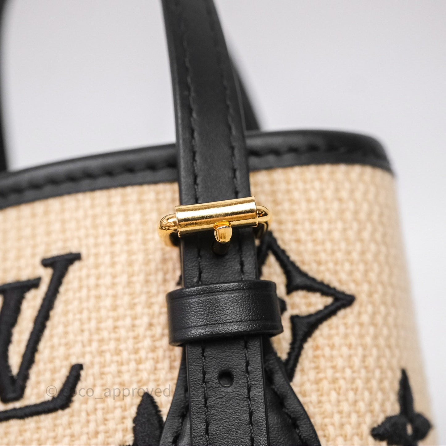 Louis Vuitton Nano By The Pool Bucket Bag Monogram Black