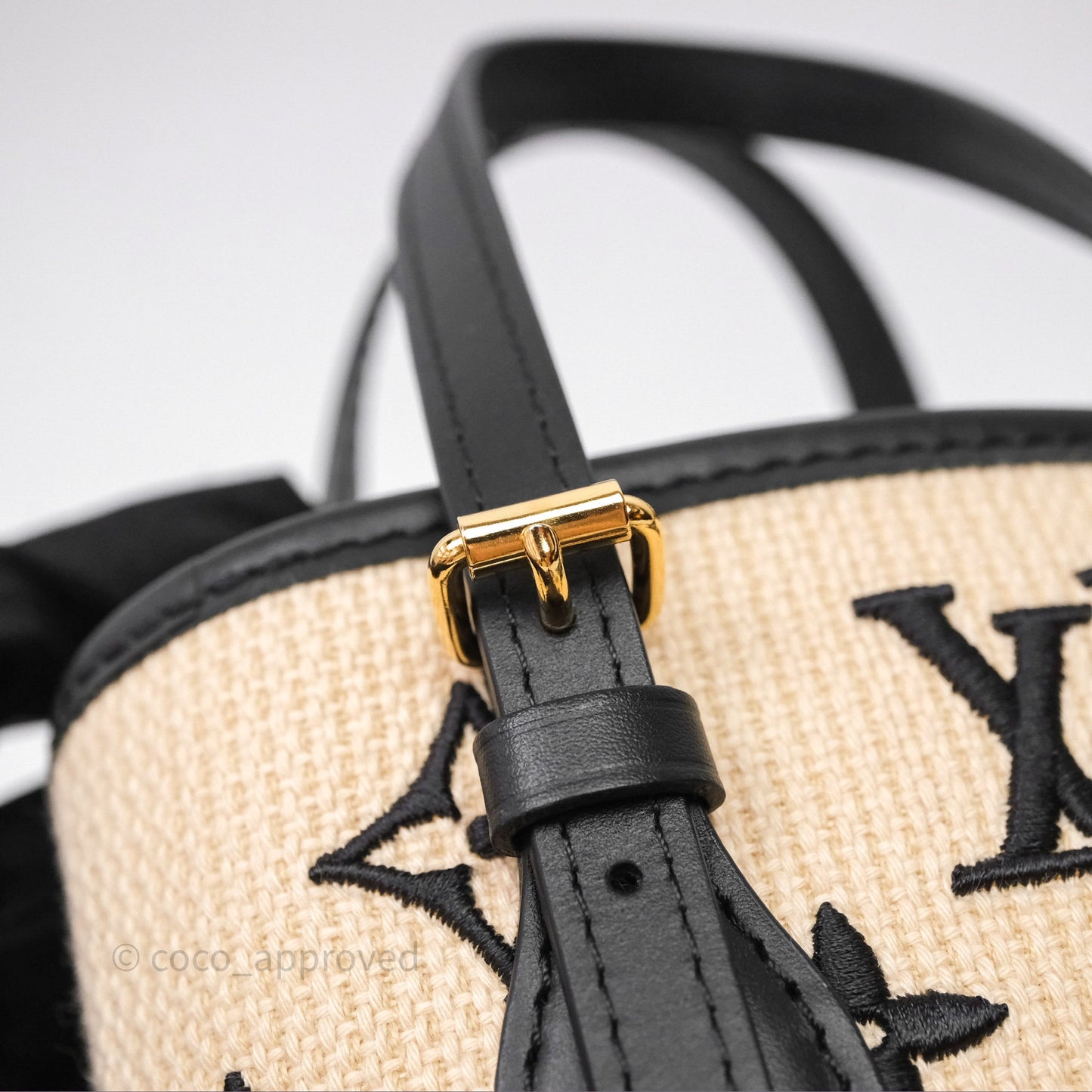 Louis Vuitton Nano By The Pool Bucket Bag Monogram Black