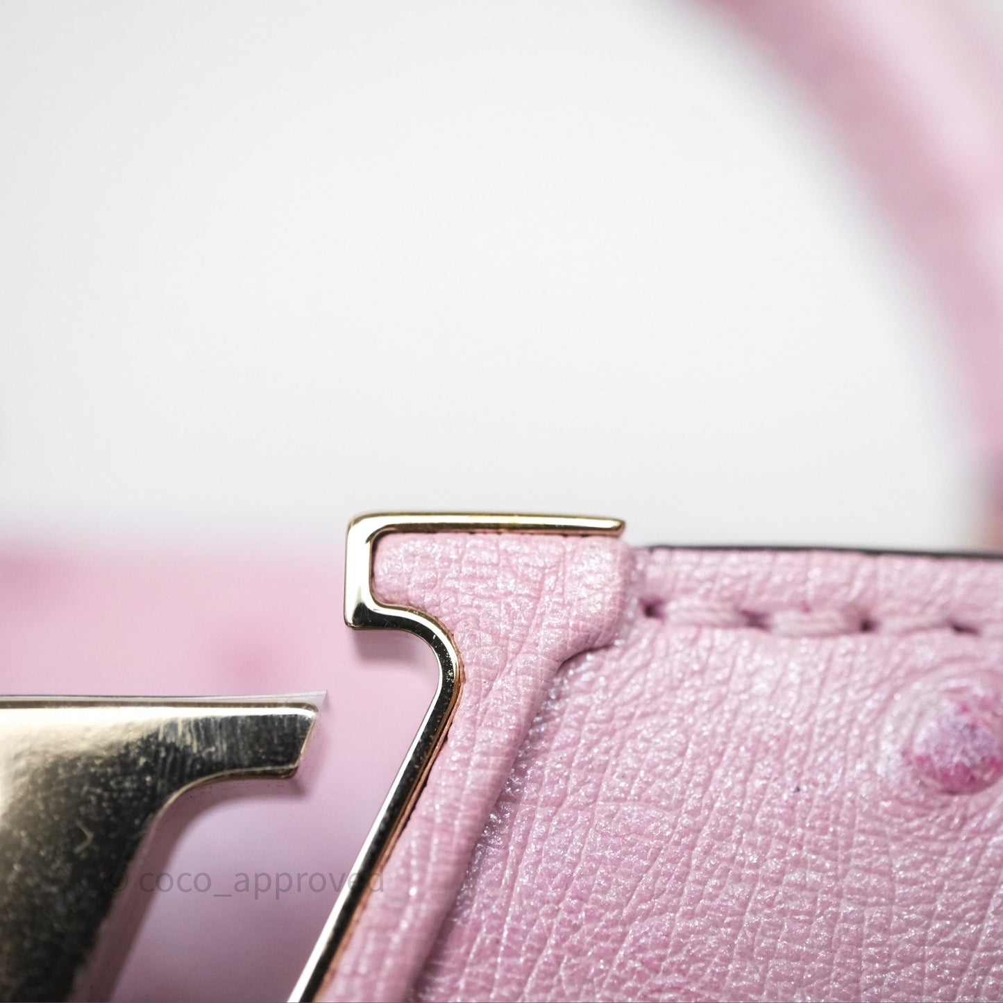 Louis Vuitton Taurillon Capucines Nano Pink in Ostrich