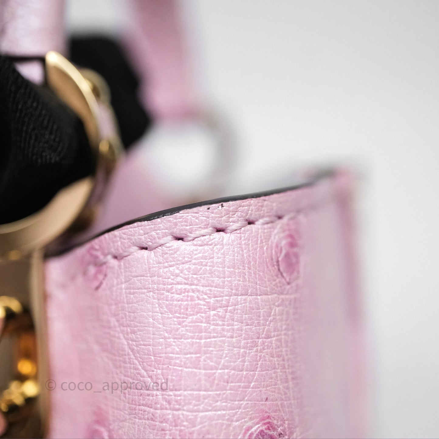 Louis Vuitton Taurillon Capucines Nano Pink in Ostrich