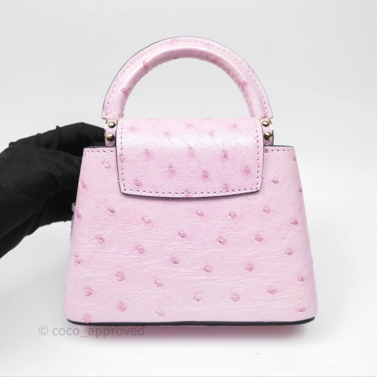 Louis Vuitton Taurillon Capucines Nano Pink in Ostrich