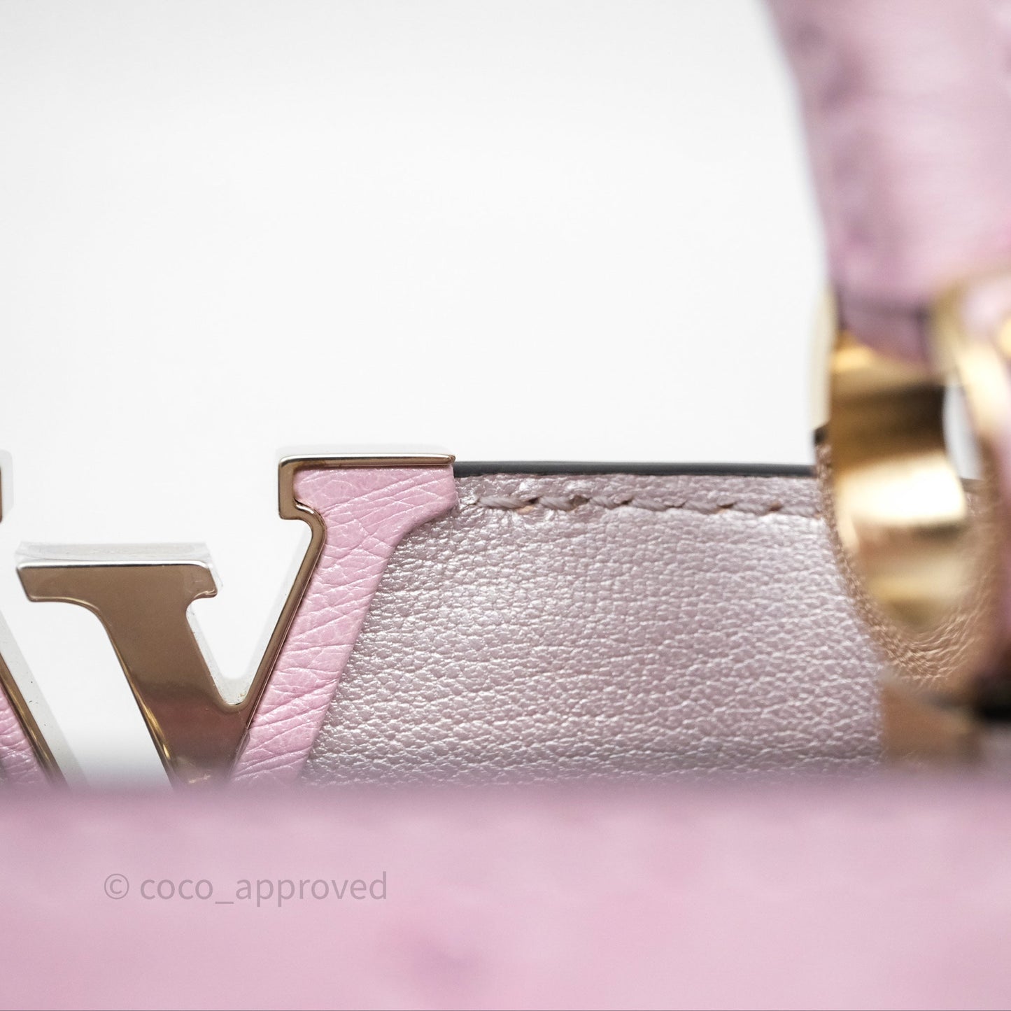 Louis Vuitton Taurillon Capucines Nano Pink in Ostrich