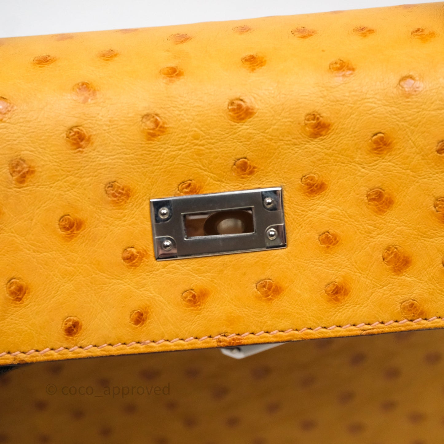 Hermès Kelly 25 Sable Ostrich Palladium Hardware