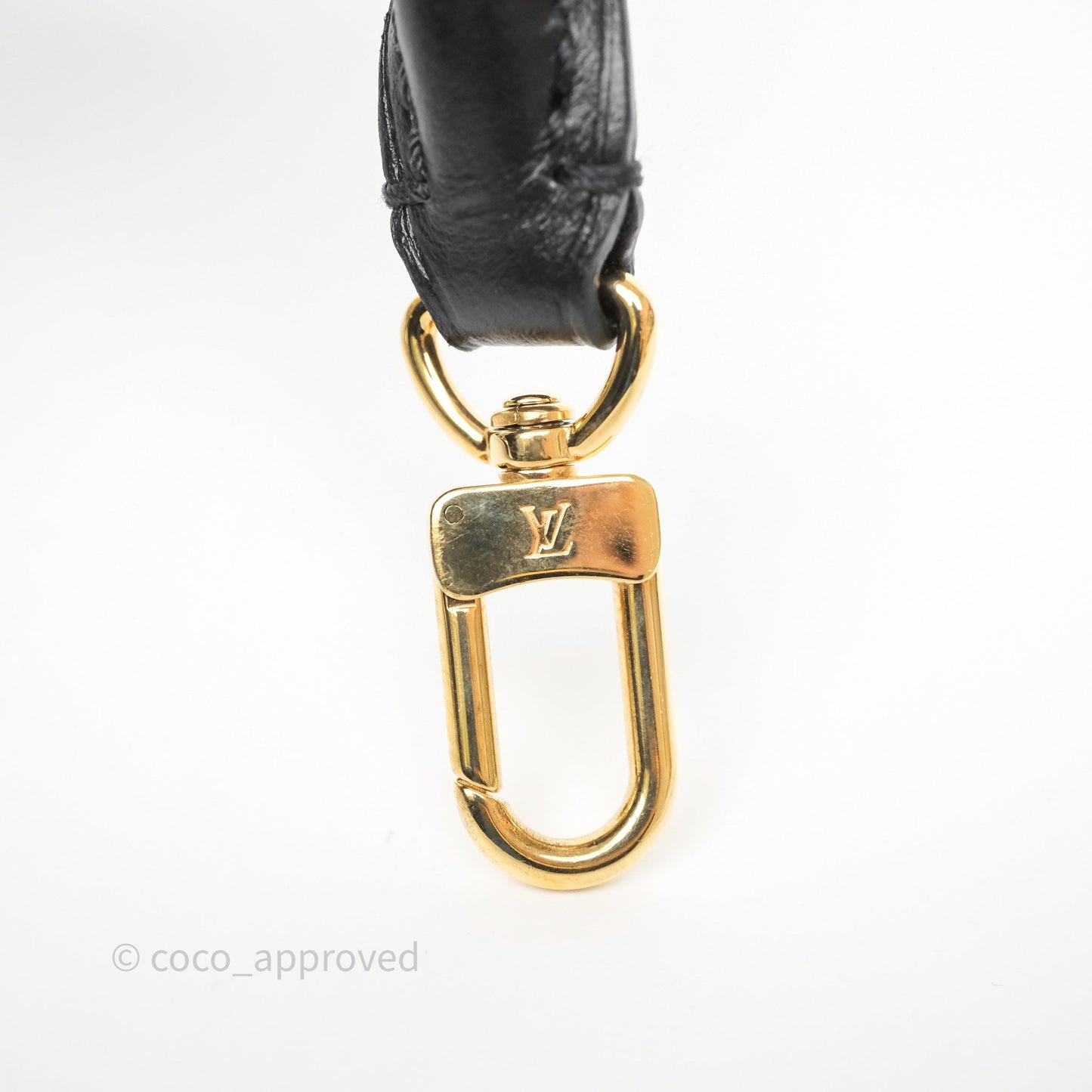 Louis Vuitton Treasure Box Crystals Monogram
